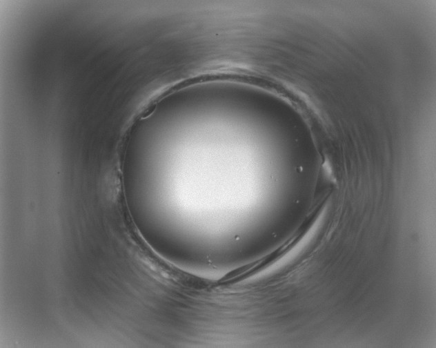 X0000069841363200605191155
