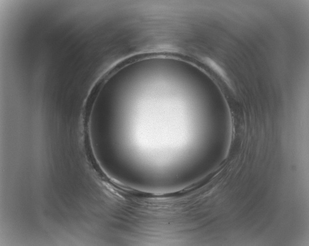 X0000069841364200605191155