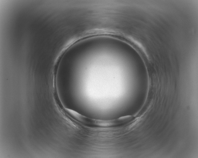 X0000069841365200605191155