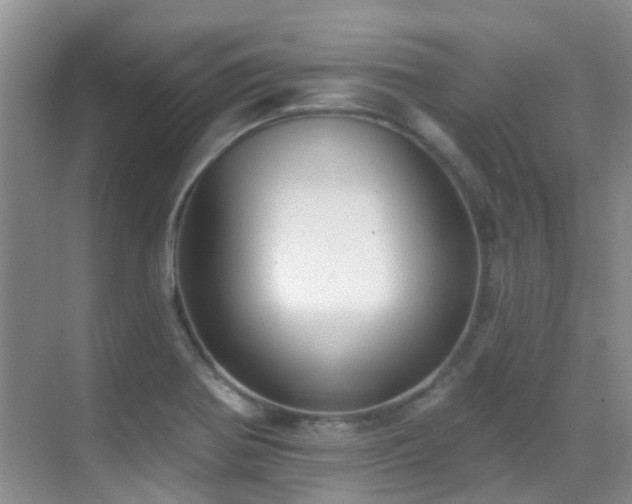X0000069841370200605191155