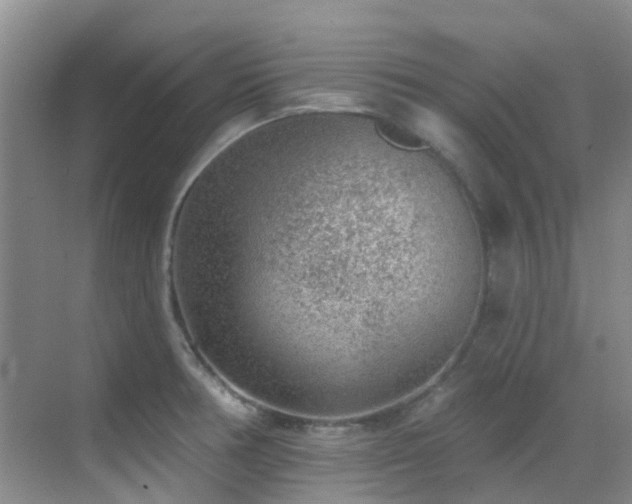 X0000069841378200605191154