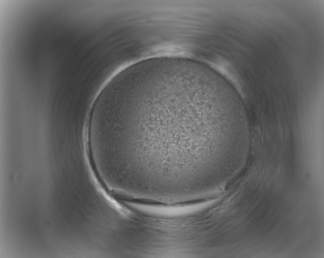 X0000069841383200605191154