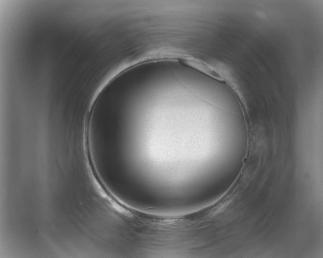 X0000069841390200605191154