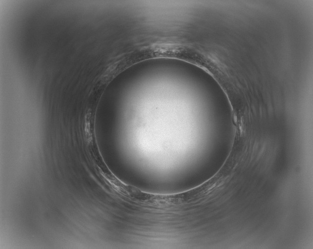 X0000069841396200605191153
