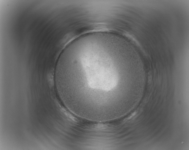 X0000069841409200605191154