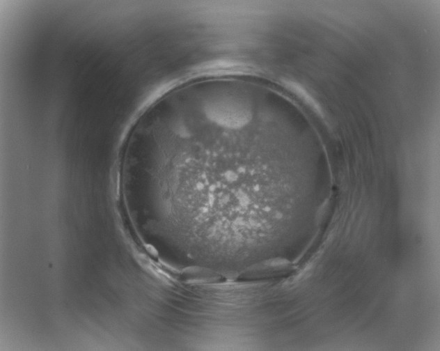 X0000069841413200605191154