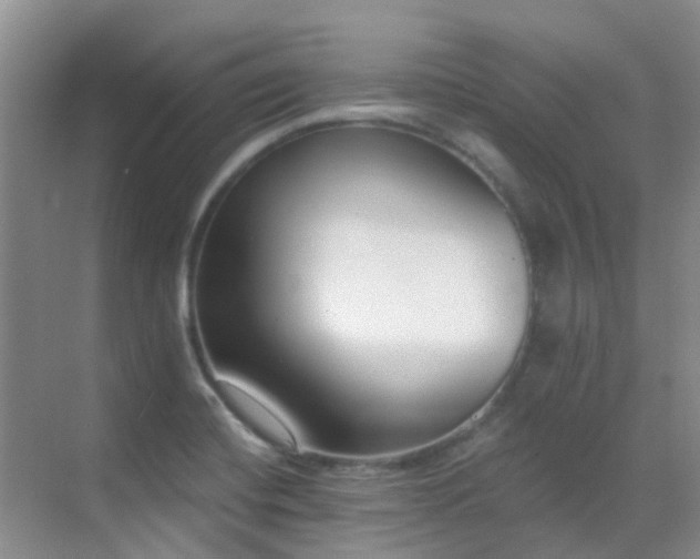 X0000069841420200605191154