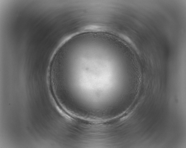 X0000069841421200605191154