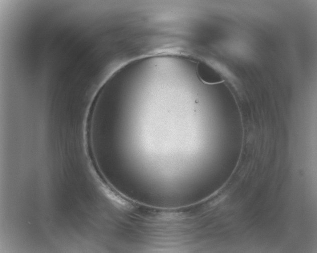 X0000069841423200605191154