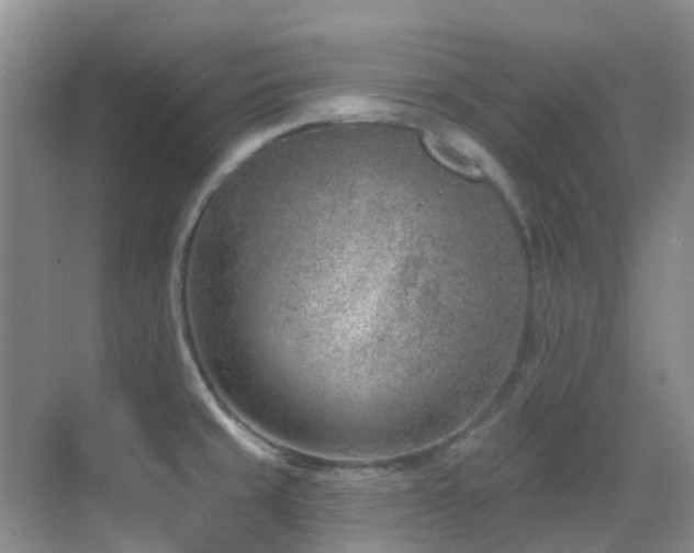 X0000069841429200605191154