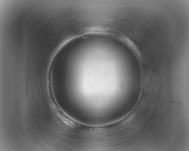 X0000069841435200605191154