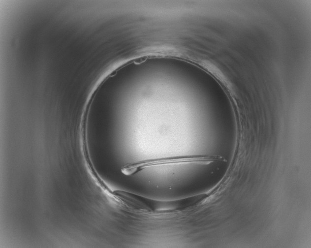 X0000069841440200605191154