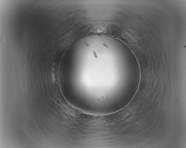 X0000069841442200605191153