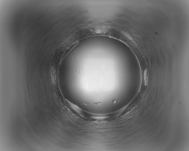 X0000069841443200605191153