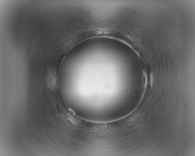 X0000069841444200605191153