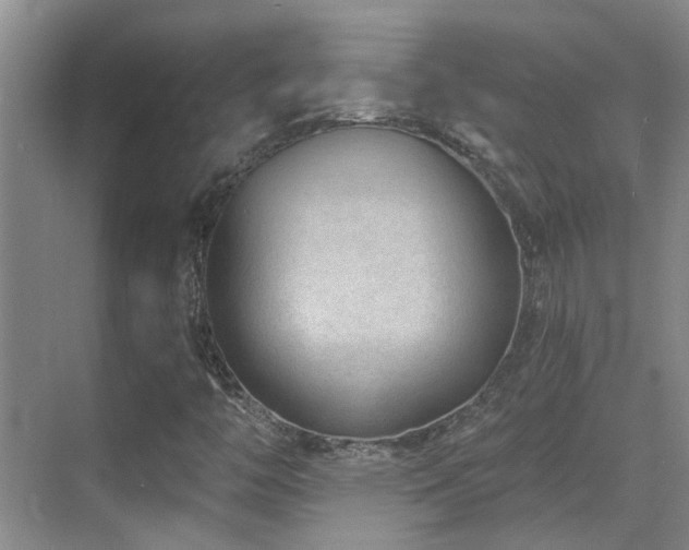 X0000069841446200605191153