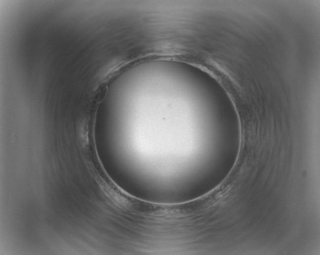 X0000069841451200605191153