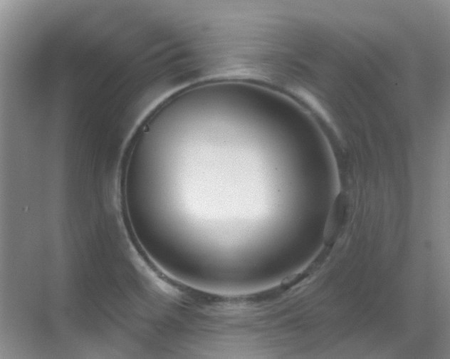 X0000069841468200605191153