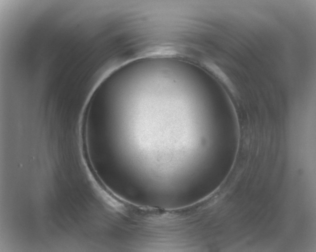 X0000069841475200605191153