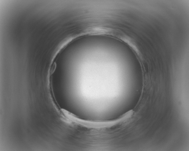X0000069841477200605191153