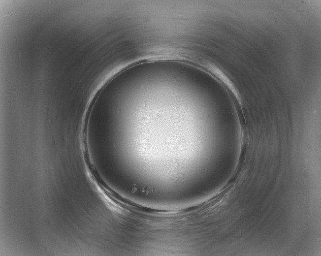 X0000069841485200605191153