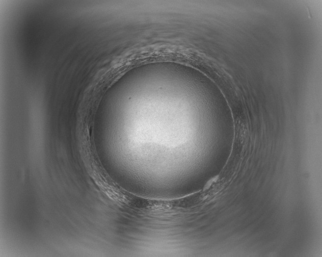 X0000069841489200605191152