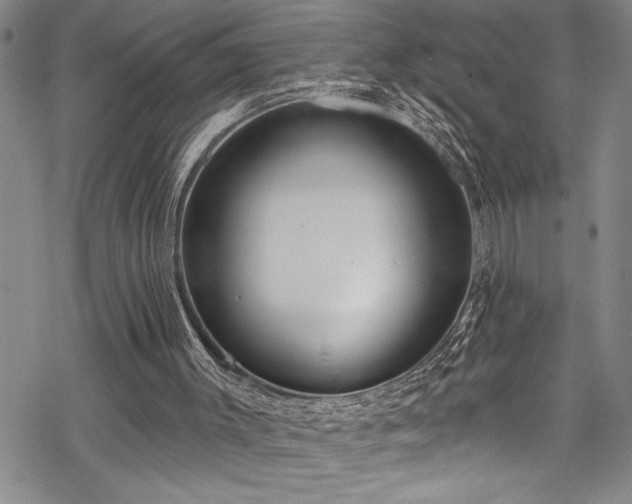 X0000069840003200605221244