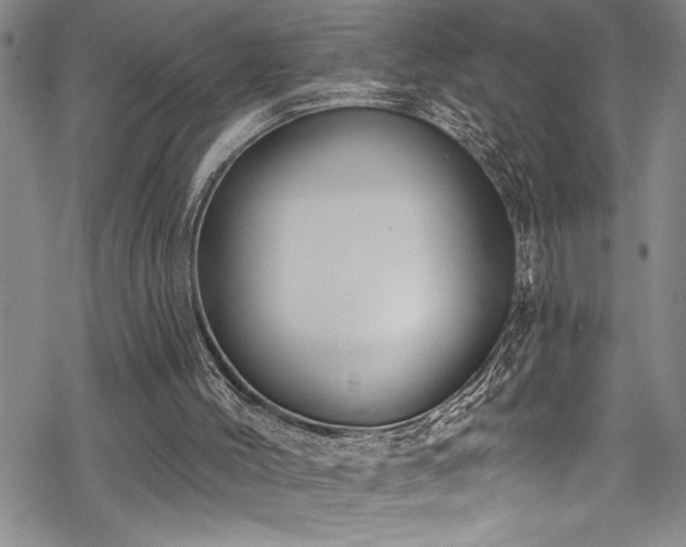 X0000069840004200605221244