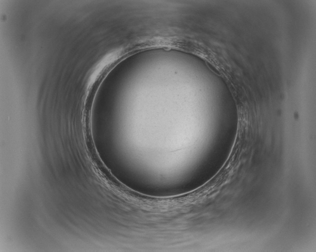 X0000069840006200605221244