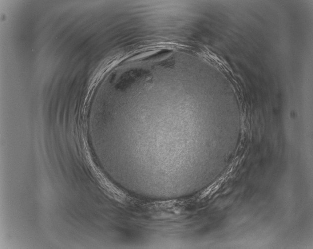 X0000069840049200605221242