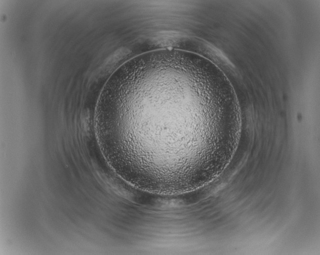 X0000069840073200605221243