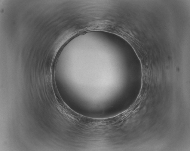 X0000069840100200605221242