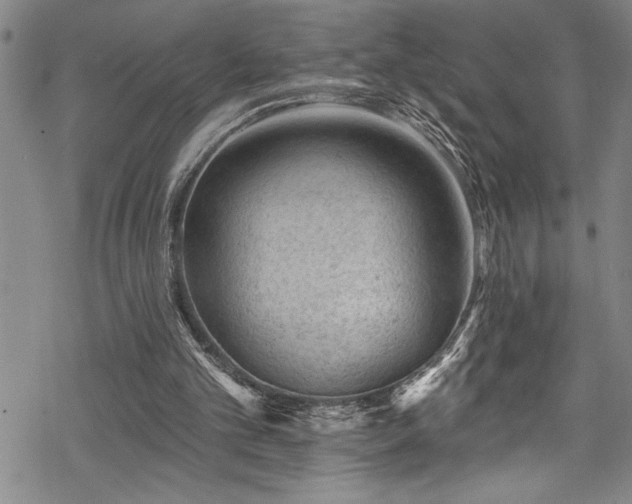 X0000069840101200605221242