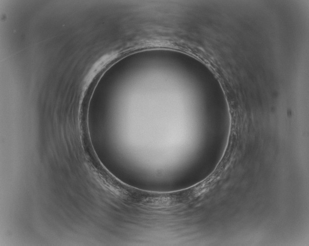 X0000069840104200605221242