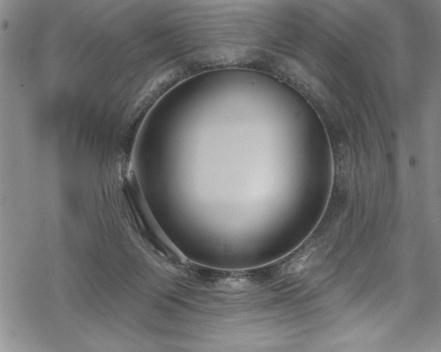 X0000069840119200605221242
