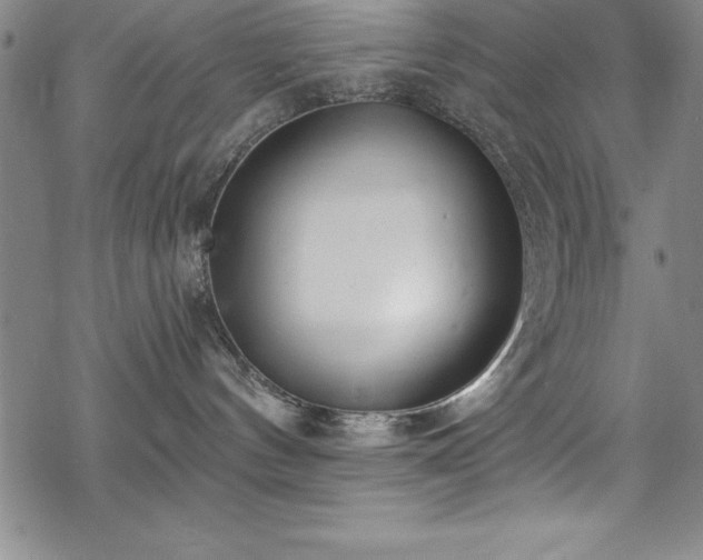 X0000069840144200605221241
