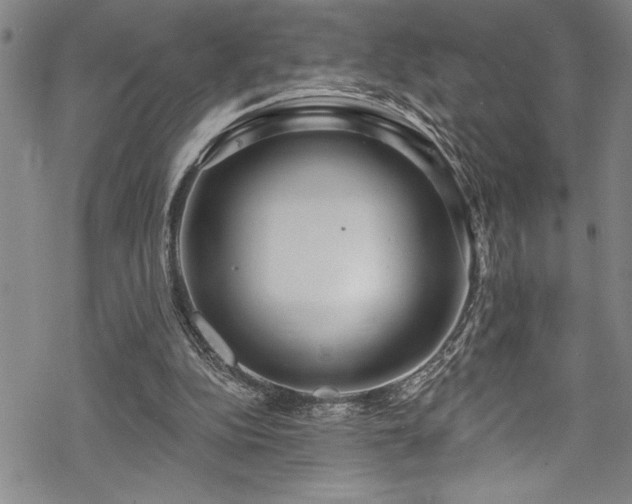 X0000069840152200605221241