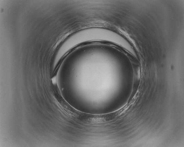 X0000069840154200605221241
