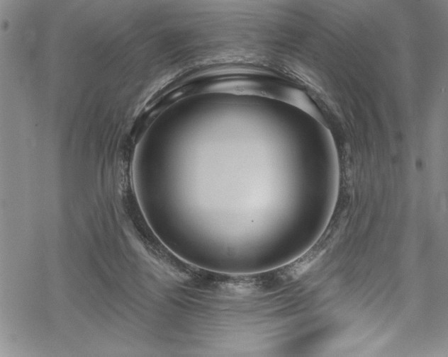 X0000069840164200605221241