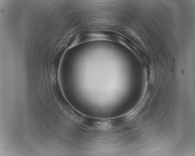 X0000069840170200605221241