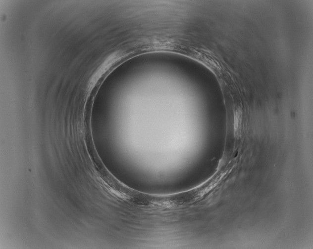 X0000069840195200605221241