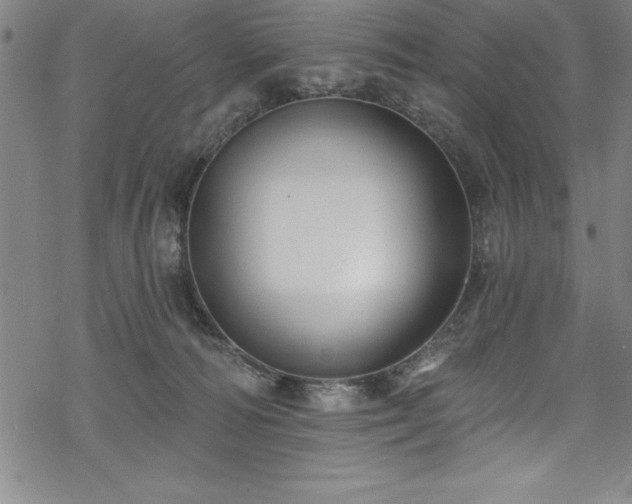 X0000069840226200605221240