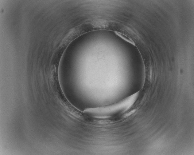 X0000069840229200605221240