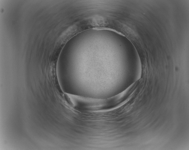 X0000069840233200605221240
