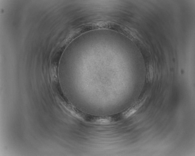 X0000069840236200605221240