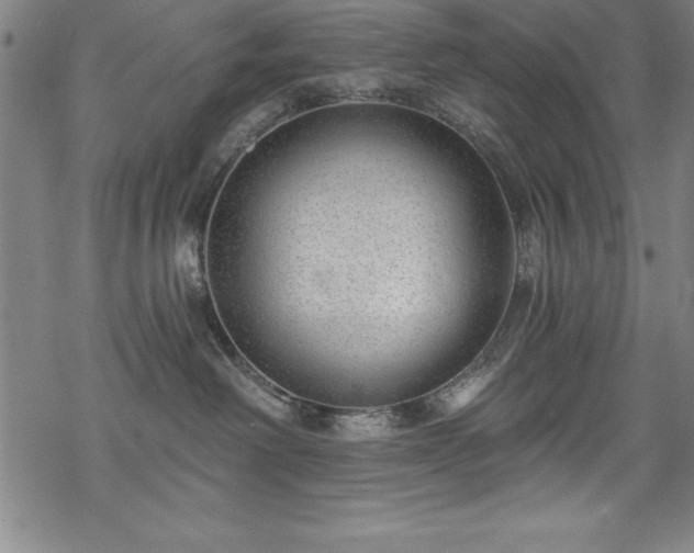 X0000069840238200605221240