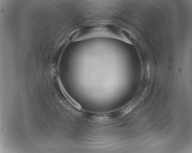 X0000069840284200605221240