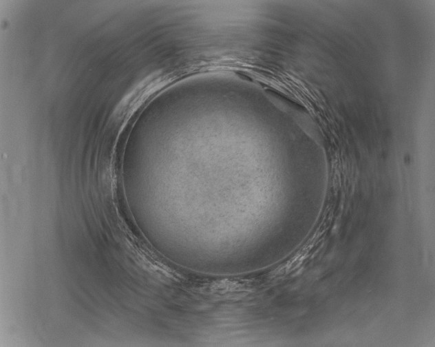 X0000069840290200605221239