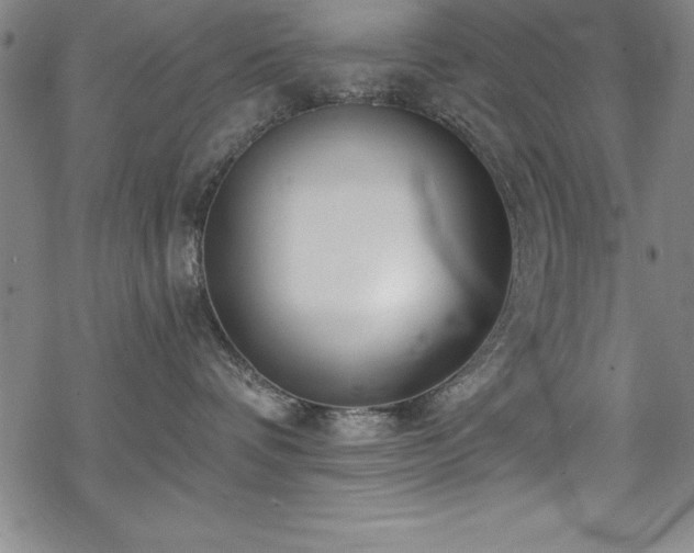 X0000069840336200605221238