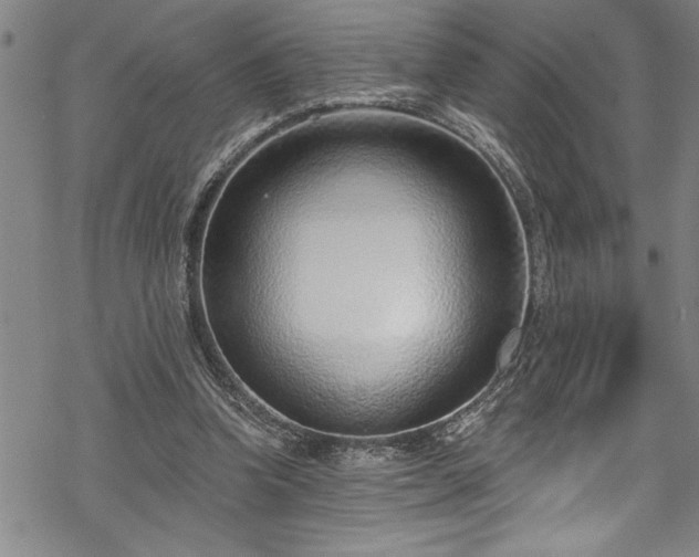 X0000069840346200605221238
